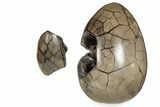 10.7" Septarian "Dragon Egg" Geode - Removable Section - #200199-3